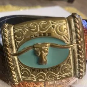 Roberto Cavalli | Accessories | Roberto Cavalli Vintage Bull  display picture 2